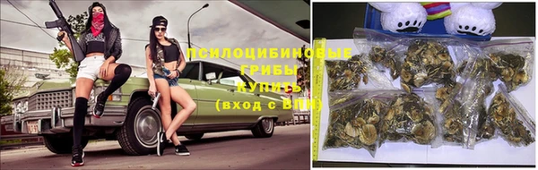 прущие крисы Володарск