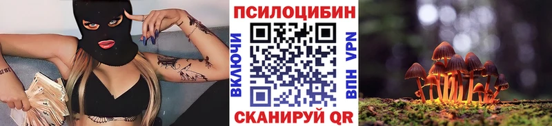 Купить закладки Буйнакск Галлюциногенные грибы GOLDEN TEACHER